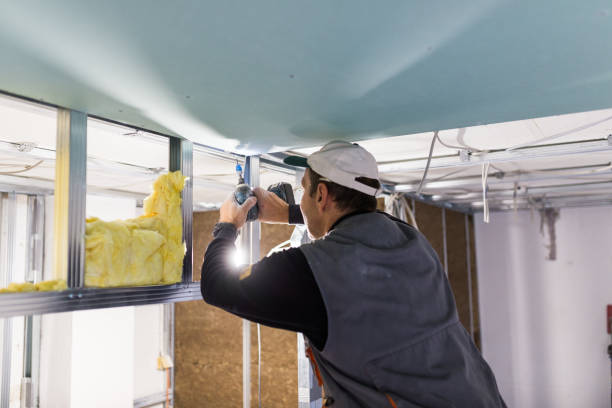 Best Residential Insulation Services  in Providence, RI