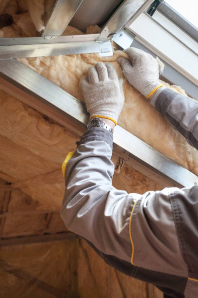 Best Insulation Replacement Services  in Providence, RI